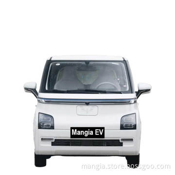 Wuling Air 300km/h small electric car 2-seat and 4-seat rear-wheel drive adult electric car popular new electric car in 2023